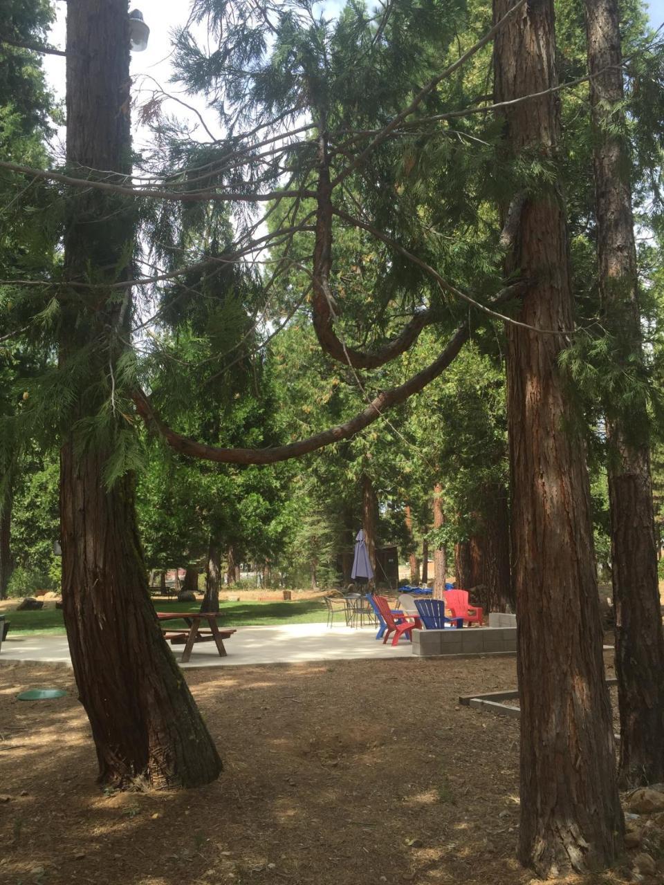 Sierra Sky Lodge Sloat エクステリア 写真