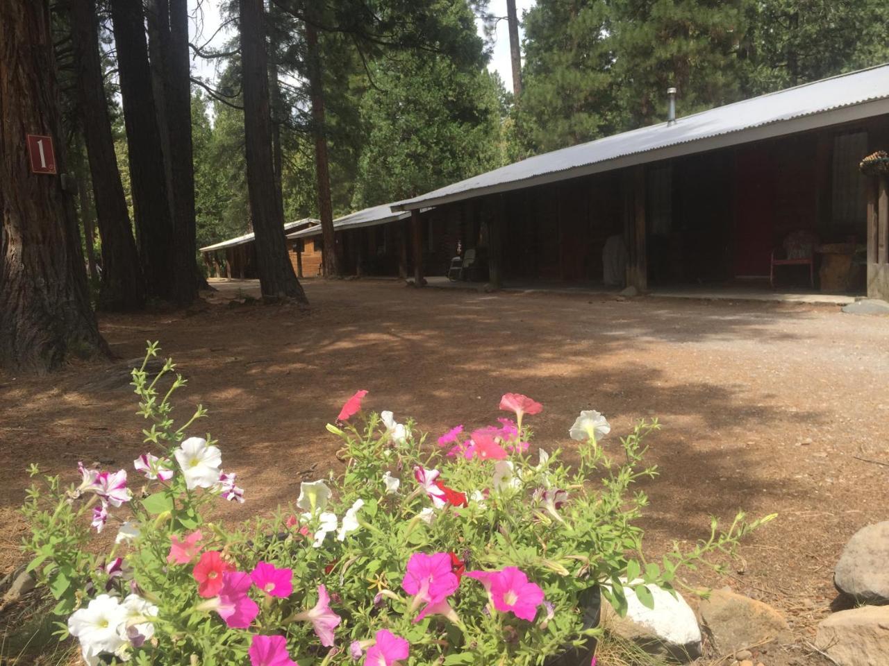 Sierra Sky Lodge Sloat エクステリア 写真